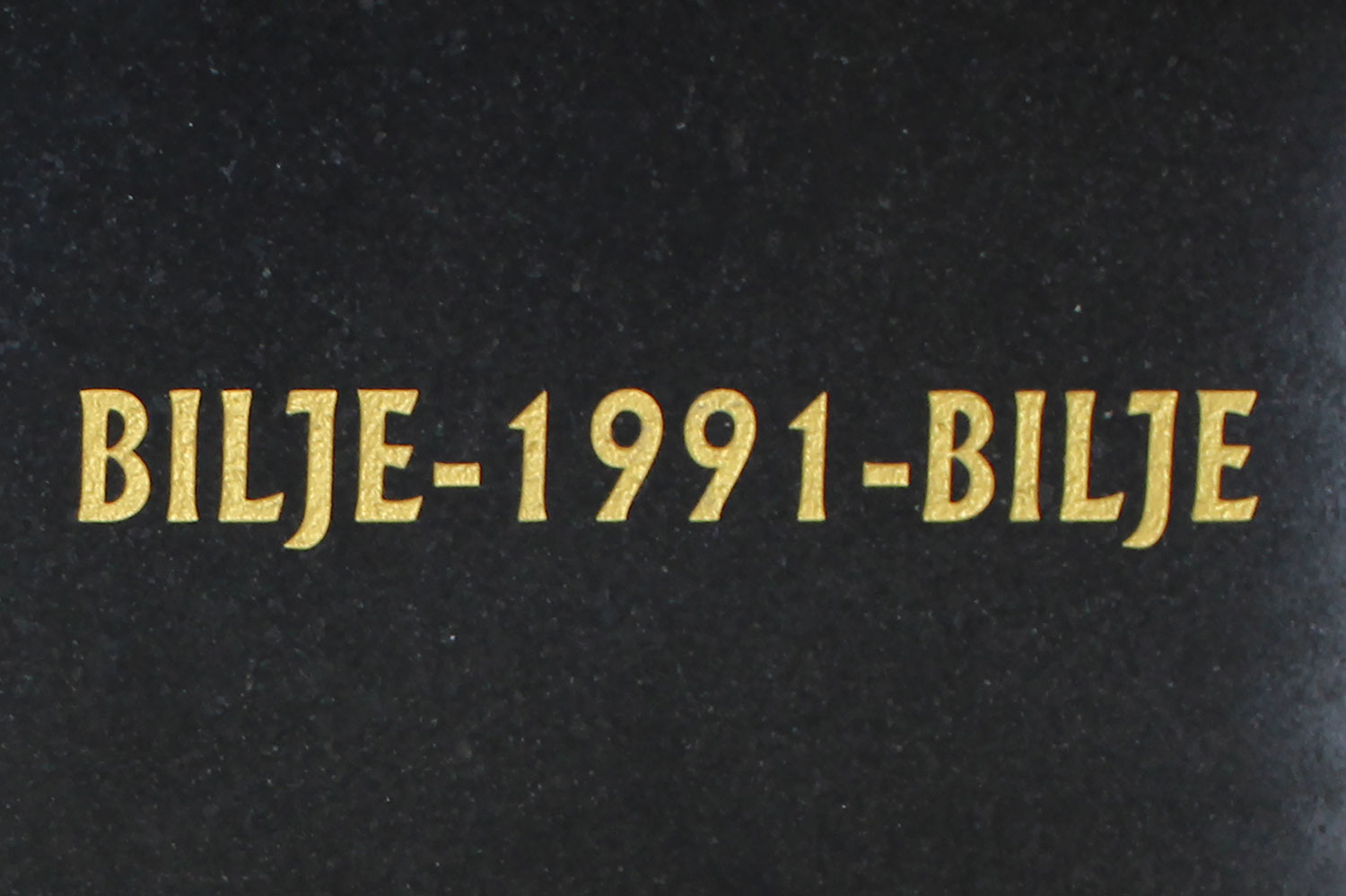 bilje 1991 bilje